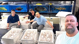 UNBOXING LIVE FISH FROM ASIA  Part 2 [upl. by Ahtilat]