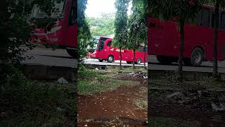 Agra mas subscribe shortvideo [upl. by Halas947]