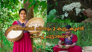 പറമ്പിൽ നിന്നും 2 കുട്ട കൂൺ പറിച്ച് ചുട്ടാലോ mushroom cooking Saranyas beauty Vlogs [upl. by Monarski]