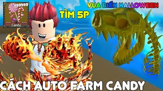 HÀNH TRÌNH TRUY TÌM VUA BIỂN HALLOWEEN CHỈ 5 PHÚT VÀ CÁCH AUTO FARM CANDY HƠN CẢ HACK KING LEGACY [upl. by Vardon764]