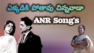 Ekkadiki Poothavu చిన్నవాడా Song  Chitapata Chinukulu Songs ANRSaroja Devi Movie Old Telugu songs [upl. by Wickham]