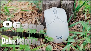 👋Обзор одной из лучших беспроводных мышке Delux M800 Pro👋 [upl. by Graybill291]