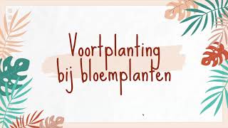 Geslachtelijke voortplanting bij bloemplanten [upl. by Rickie]