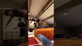 PARKOUR de PIGEON parkour flip freerunning [upl. by Farrell]