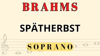 Spätherbst  op 92 n 2  SOPRANO  PIANO  J Brahms [upl. by Jarrow763]