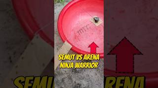 ARENA NINJA WARRIOR UNTUK KOLONI SEMUT eksperimen semuthitam semutmerah kemerdekaanindonesia [upl. by Merridie]