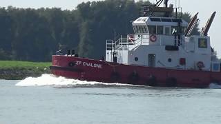 UNION 11 Tug ZP CHALONE Tug [upl. by Ihculo]