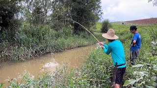 Esse corguinho tava lotado de peixes que até soltamos um pouco em um lago abandonado pescaria [upl. by Yerffoeg238]