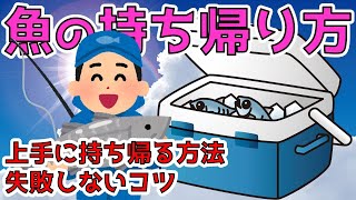 【魚の持ち帰り方】どう持ち帰る？知っておきたい３つのポイント [upl. by Alyn358]