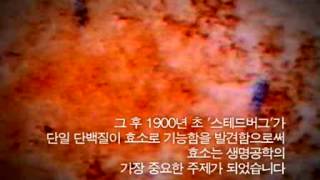 효소 23회 생체 화학반응의 촉매 일반화질 [upl. by Inavoig]