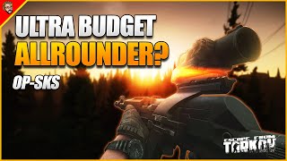 Budget Weapon Guide Why You should play the OP SKS  Weapon Guide  Escape From Tarkov [upl. by Richmal]