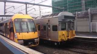 Sydney Trains Vlog 349 Lidcombe Part 3 [upl. by Arias]