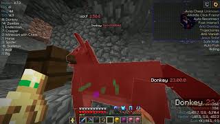 RIP Donkey dupe Constantiam january 8 2020 [upl. by Amandy]