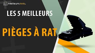 ⭐️ MEILLEUR PIÈGE À RAT  Avis amp Guide dachat Comparatif 2022 [upl. by Aila]