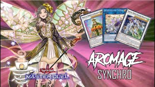 Aroma Synchro Negate  Synchro Plant Deck YuGiOh Master Duel Replays [upl. by Dahlstrom796]