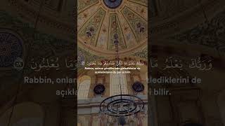 Kuranı Kerim Tilaveti  islam islamic islamicstatus islamicvideo kuranıkerim [upl. by Aicenev]