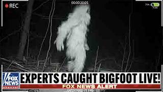 Expedition Bigfoot Crew EVACUATED After Finding Bigfoot [upl. by Jutta]