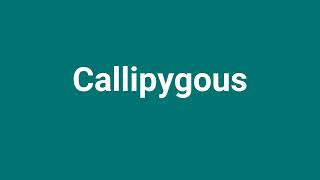 Callipygous Meaning and Pronunciation [upl. by Naasah549]