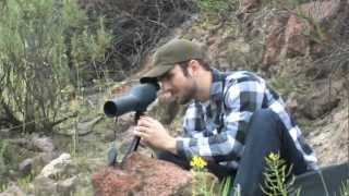 Colorado 2060x60 Spotting Scope from Barska CO11502 [upl. by Chader]