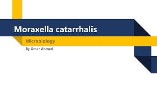 Microbiology  Moraxella Catarrhalis [upl. by Scever]