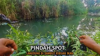 BIKIN HERAN SEKALI Pindah Spot Mancing Langsung Di Sambut Ribuan Ikan [upl. by Yevre]