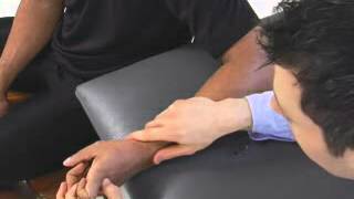 13 Lumbricals Palmar and Dorsal Interossei Muscle Length Test [upl. by Lindi442]