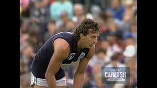 Richard Dennis 1990 Carlton Football Club Past Player [upl. by Ilat]