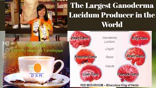 The Miraculous Lingzhi Coffee in the World DXN [upl. by Fleischer]