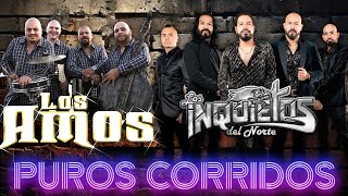 Los Amos de Nuevo León y Los Inquietos del Norte  Las 30 Mejores Canciones Puros Corridos Chingones [upl. by Mercorr]