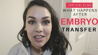 What Happens to the Embryo After Embryo Transfer IVFICSI VLOG [upl. by Yerga]