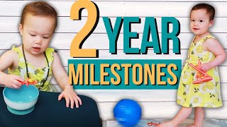 TWO YEAR DEVELOPMENTAL MILESTONES  24 Month Old Milestones amp Activities for Toddler Development [upl. by Dowd]