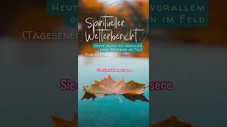 Spiritueller Wetterbericht am 1110 ✨️ Tagesenergien spiritualität spirits energyreading [upl. by Annez]