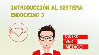 INTERACCIÓNES HORMONALES Sinergia permisivismo y antagonismo [upl. by Oletta]