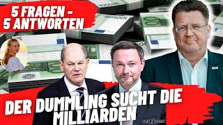 Der Dummling auf der Suche nach den Milliarden 5 Fragen  5 Antworten [upl. by Airdnek]