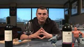 Teroldego Rotaliano Wine With Some Chesse  Episode 636 [upl. by Hasin887]