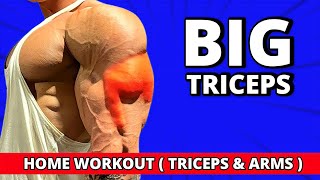 The best Triceps Exercises at HOME  Triceps Workout [upl. by Ongineb661]