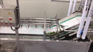 FoodTec Vegetable Processing Line [upl. by Oicul972]