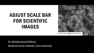 HOW TO ADJUST SCALE BAR FOR SCIENTIFIC IMAGES [upl. by Ahsieka802]