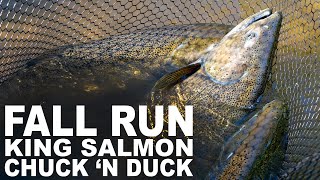 Chuck N Duck Salmon Fishing  Pere Marquette River MI [upl. by Coraline]