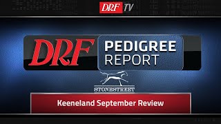 DRF Pedigree Report  Keeneland September Review 2019 [upl. by Dnaltroc]