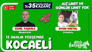 KOCAELİ  Canlı Yayın  Bariyer Dibi  12 Aralık 2024 Perşembe atyarisi [upl. by Ateinotna459]