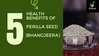 Health Benefits of Perilla Seed Bhangjeera [upl. by Hays53]