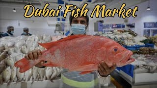 Largest fish market in Dubai 😍😍 Waterfront Market Deira 🔥🔥dubai 4k vlog youtube [upl. by Lancelot]