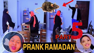 PRANK RAHMA HASSAN IYO BALBALAARKA OO GACAN I QADEEEN part 5🤣 [upl. by Touber]