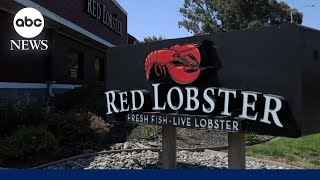 Red Lobster files for bankruptcy amid financial woes [upl. by Eugor]