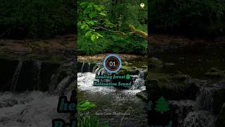 Healing forest Relaxation amp Meditation sound ytshort [upl. by Dronski]