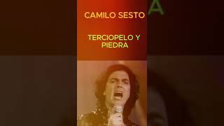 Camilo Sesto Terciopelo y piedra shorts musica grandesexítos camilosesto [upl. by Janeczka141]