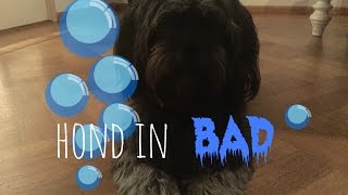 how to hond wassen  tutorial  Its Famke [upl. by Inatirb575]