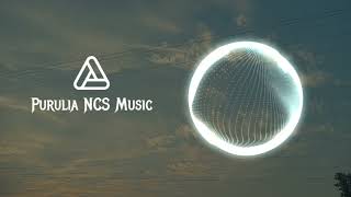 Avi Snow Sync Marky Style  Alright  Indie Dance  NCS  Copyright Free Music NCS Music Purulia [upl. by Jasen21]