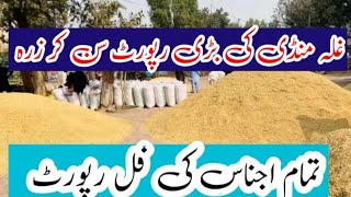 wheat mandi rate today  new munji rate  Dhan price  maki til rate cotton sarso bajra rate  1121 [upl. by Daht]